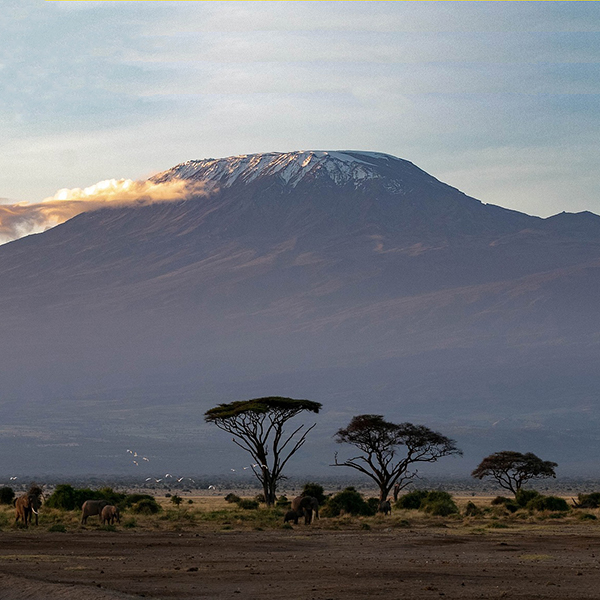 Путешествие на Килиманджаро